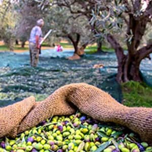 خط تعبئة الصابون القشتالي السائل في العبوات